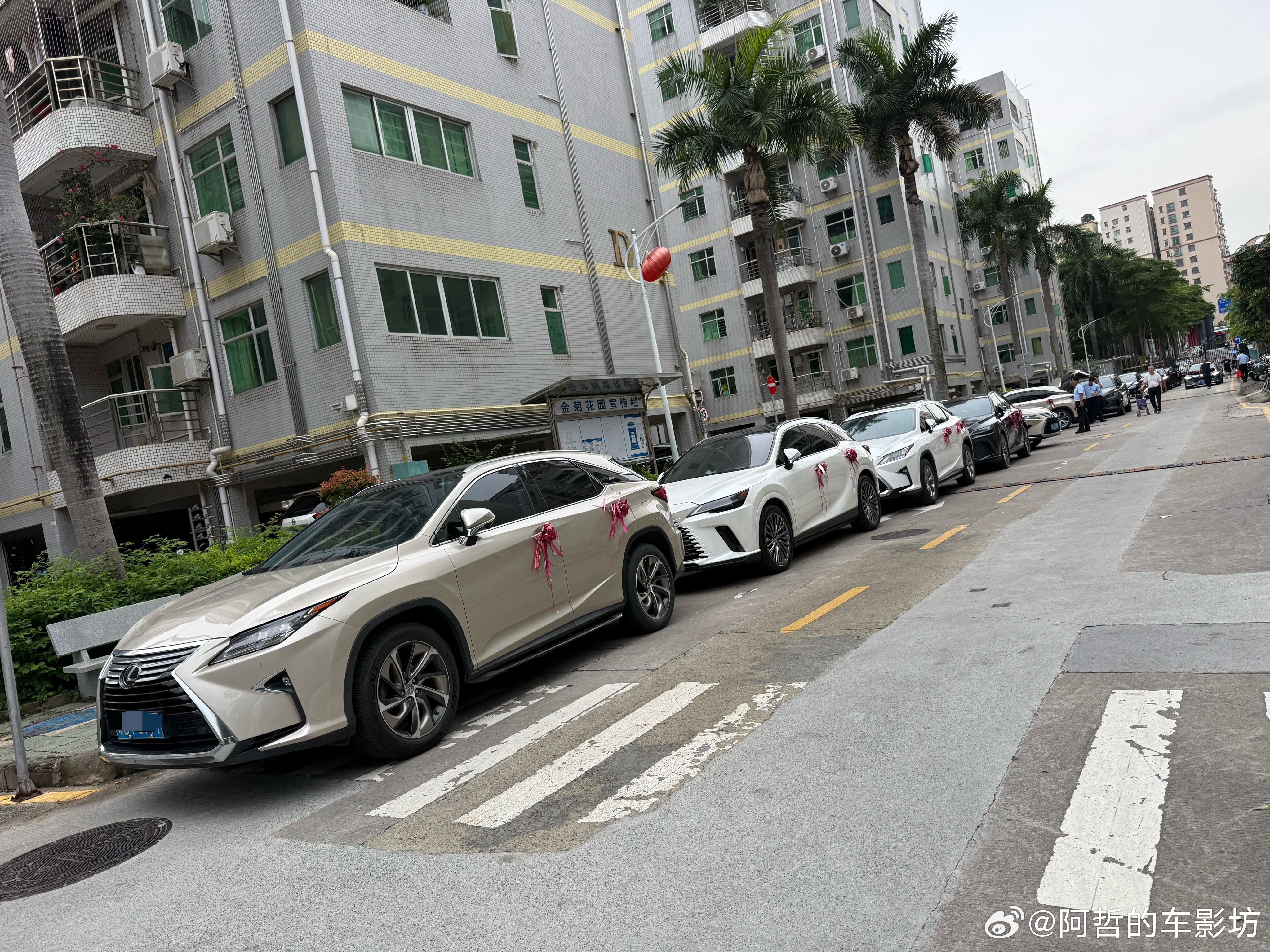 除了打头是迈巴赫后面全雷克萨斯RX的婚车队伍这种情况估计也就在广东才会出现吧大v