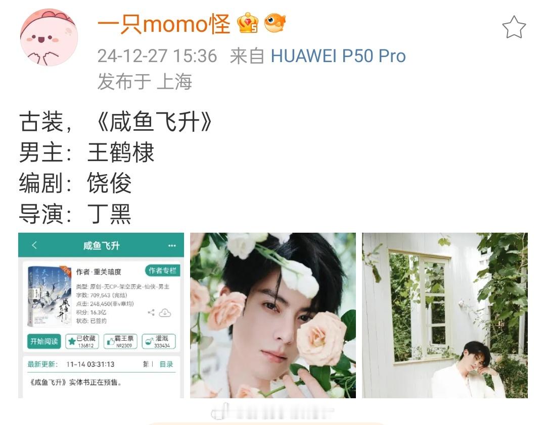 网传王鹤棣的下一部新剧是咸鱼飞升。看简介，这部剧好像又是一个男频剧[闭嘴][闭嘴