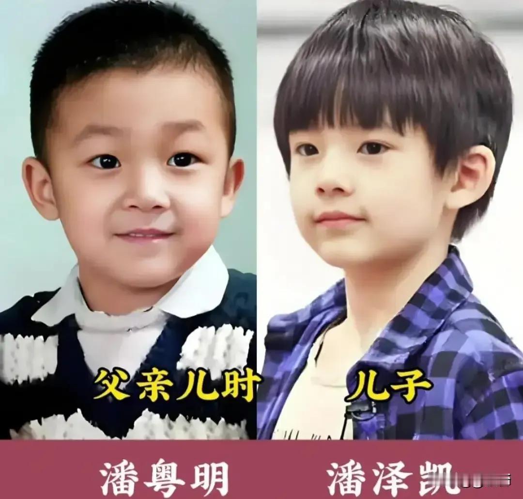 小时候的爸爸和现在的儿子，长得简直一模一样

潘粤明小时候就一脸书生气，双眼皮，