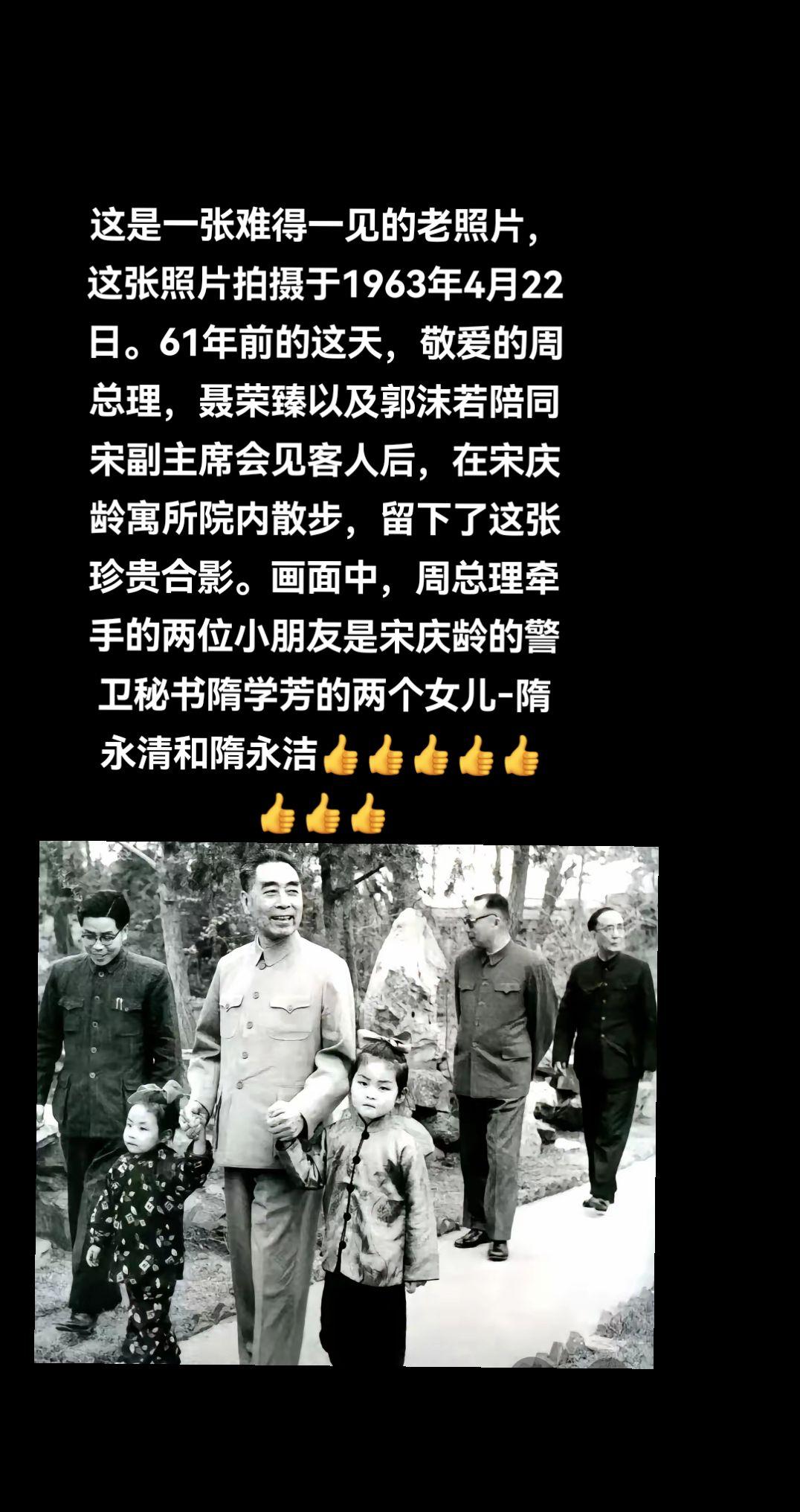 你不在了，可是每到海棠花开放的时候，常常有爱花的人来看花。在花下树前...