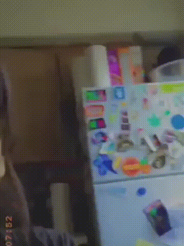 这大概是世界上最会躲猫猫的猫猫了吧