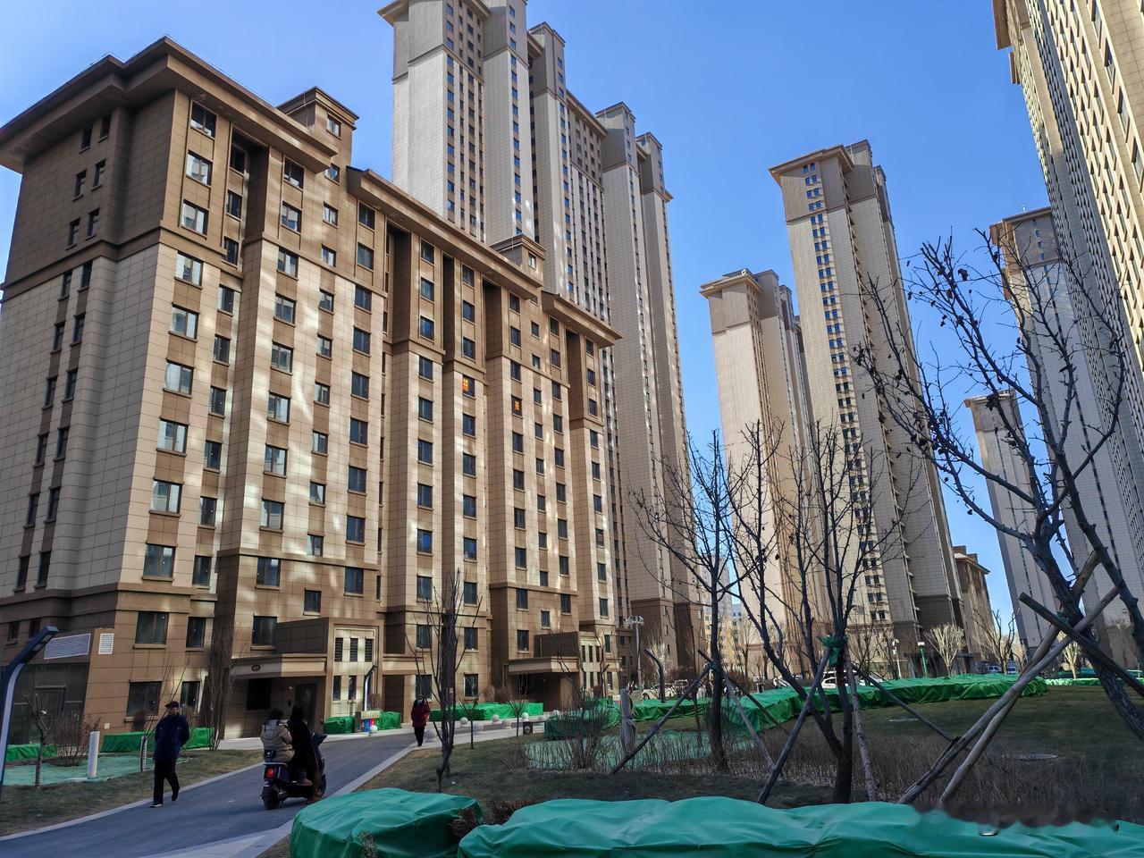 今年冬天的不同今年冬天最大的不同就是比较热