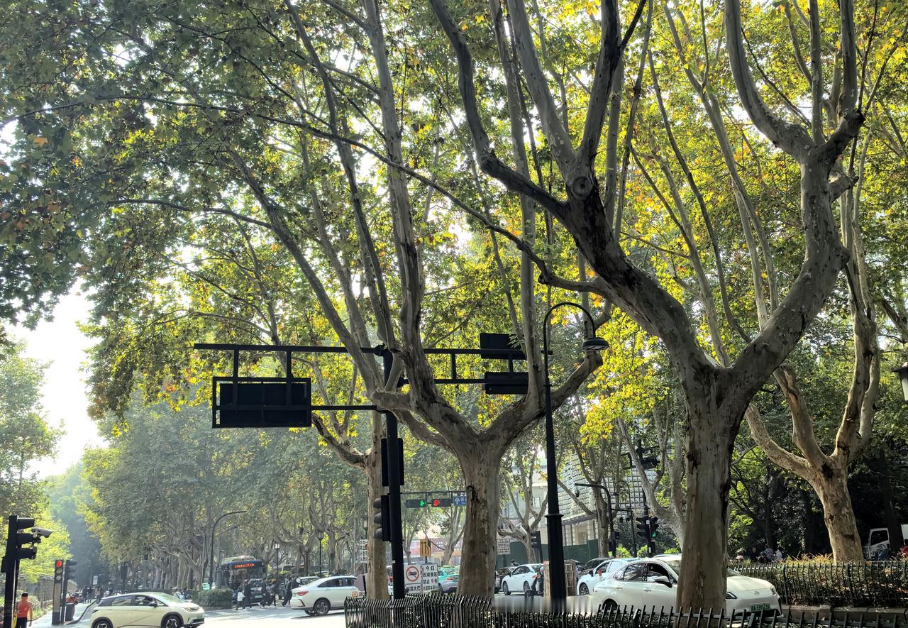 【热评】列车上的公共秩序不容任性
女子推着婴儿车堵住下车通道不退让

列车作为人