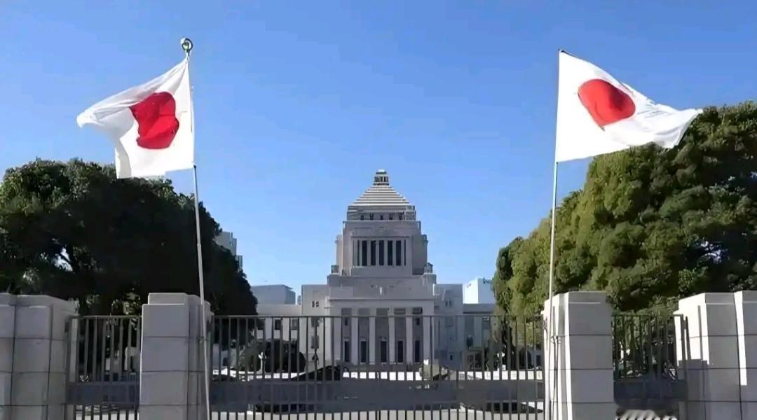 政治豪赌引民愤！日本国会前民众怒吼：“不要解散，要民生！”

1月19日，东京寒