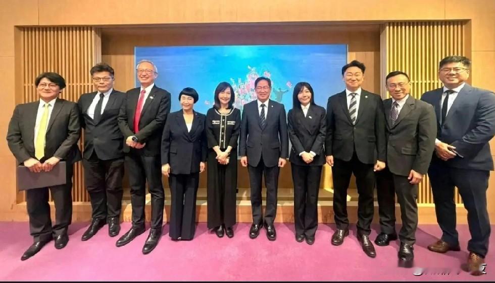 韩国议员窜台湾：碰的是中国政府的底线，撤的是韩国政府的台！

近日，韩国三名国会