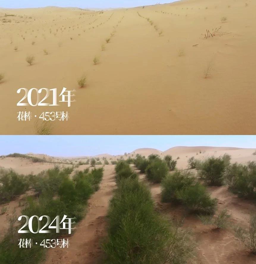 蚂蚁森林八年以来取得了什么成效？5.48亿棵树助力生态修复！累计捐资41.8亿元