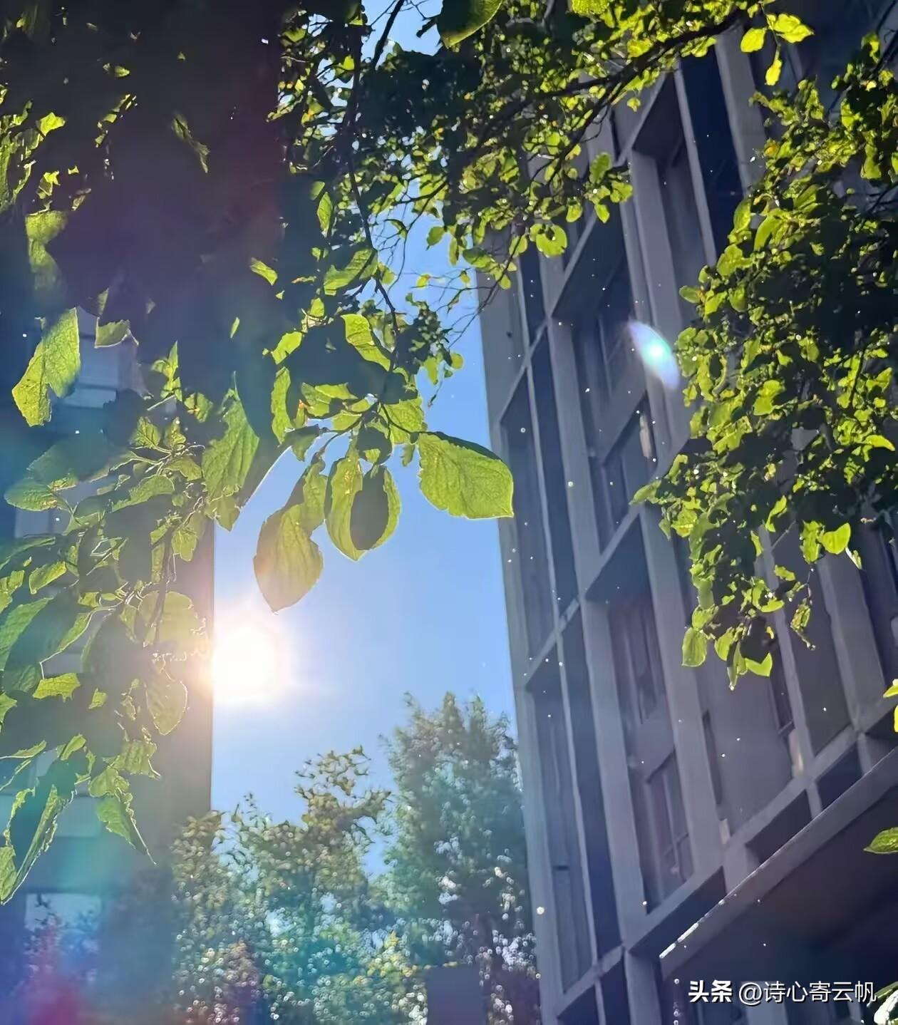 通知，通知大家！
大家要做好准备。
还有12天，也就是8月14日就正式入末伏了，