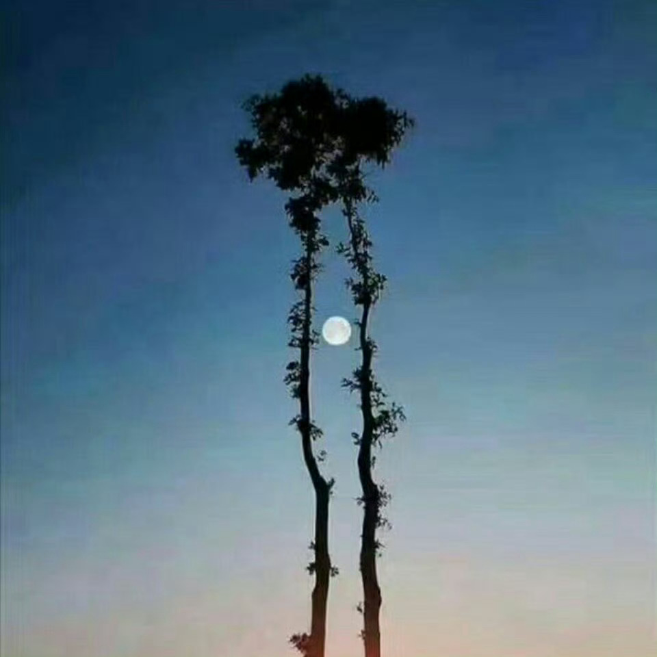 生活手记暮色轻吻窗棂时，感恩像月光漫过心湖。谢每缕晨光、每份善意，知足便悄悄发了