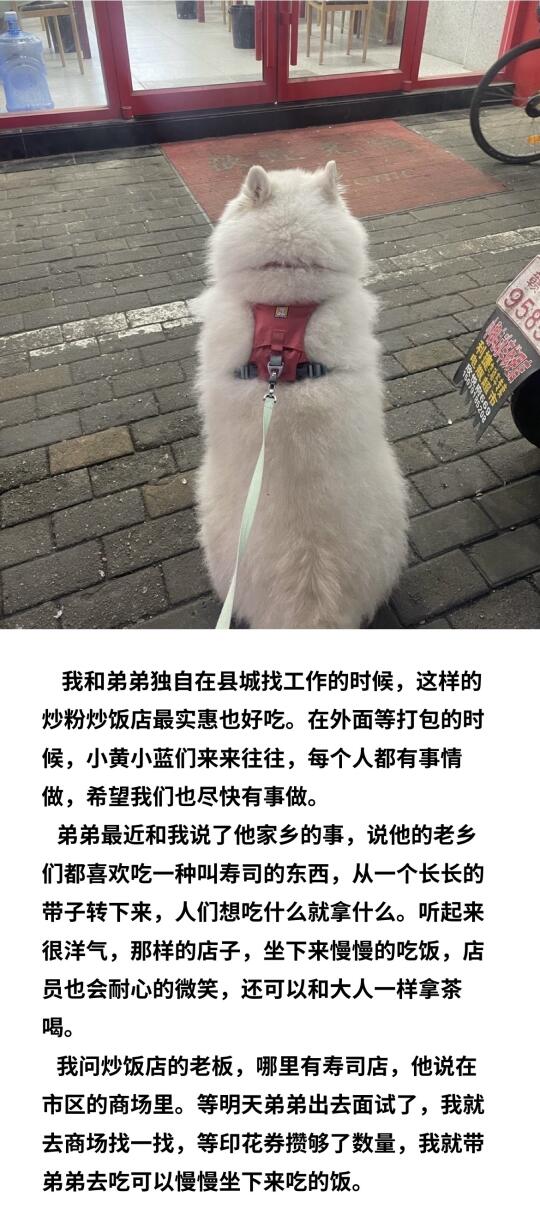 可以慢慢坐下来吃的饭