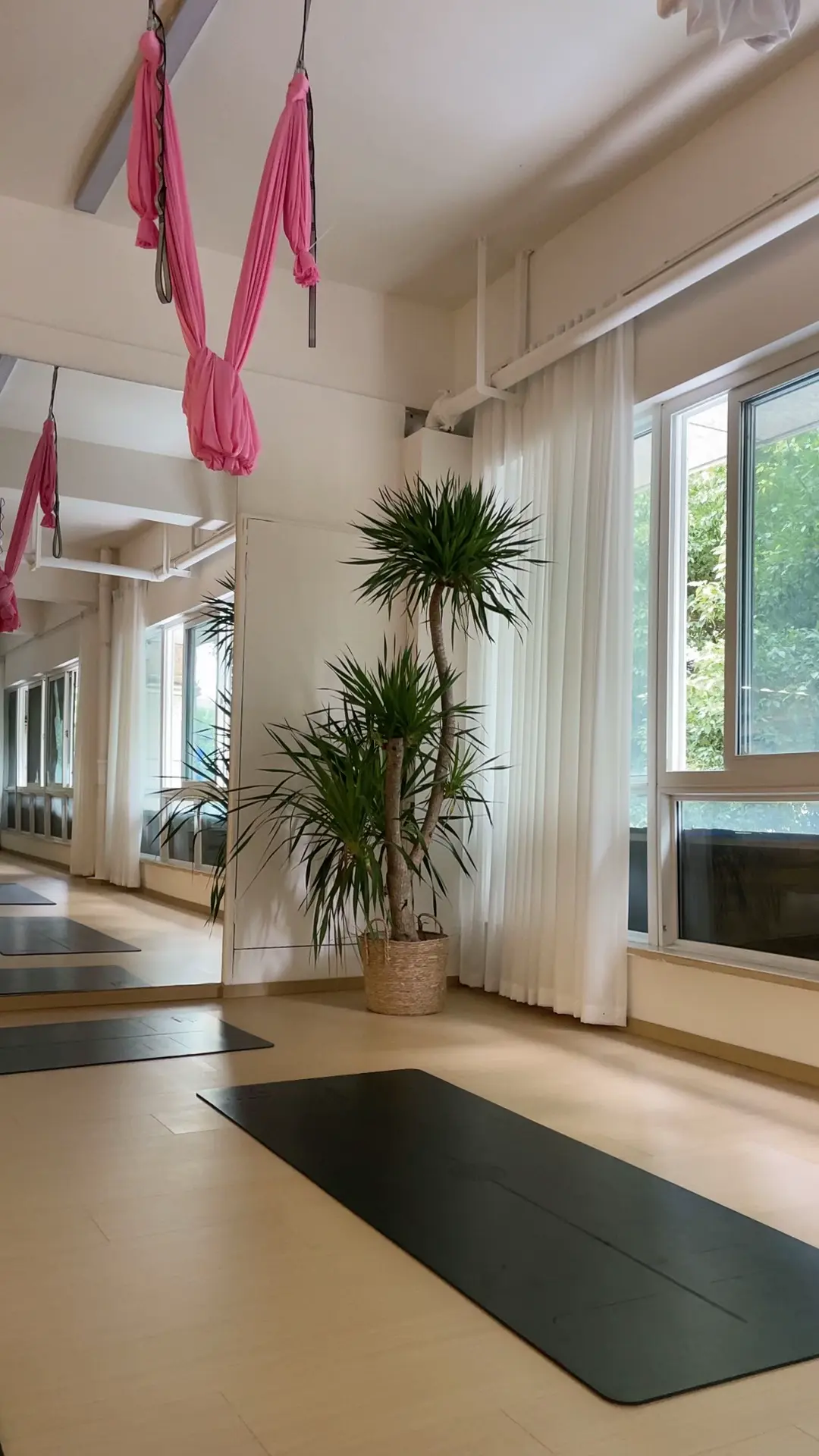 我的瑜伽生活 自律的顶端就是享受孤独