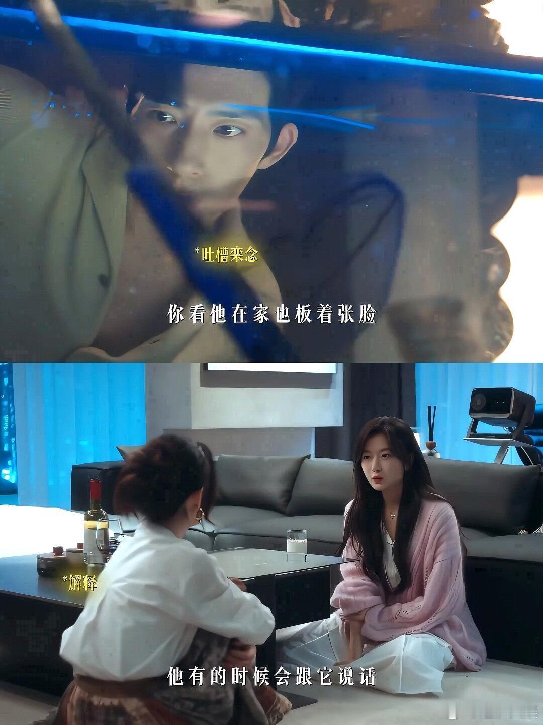早春晴朗臧瑶尚之桃没有雌竞只有欣赏拒绝刻板雌竞剧本，臧瑶尚之桃平等看待彼此，坐下