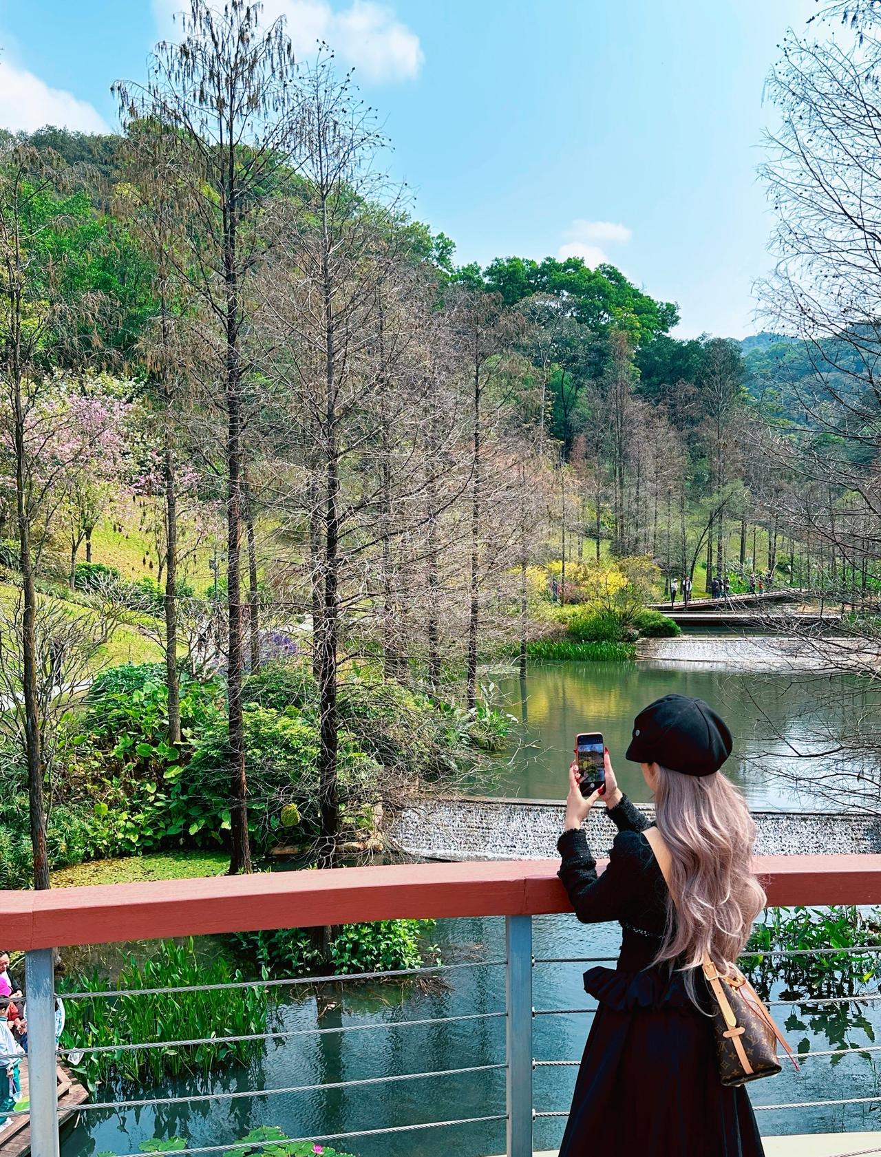 广州版绿野仙踪！！好美。。。。。
📍广州 云溪植物园
非常值得周末打卡的宝藏植