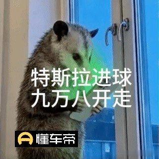 梅西与中国球迷的双向奔赴昨晚大家都在欢呼梅西，懂车帝二手车藏着惊喜。但凡名字带特