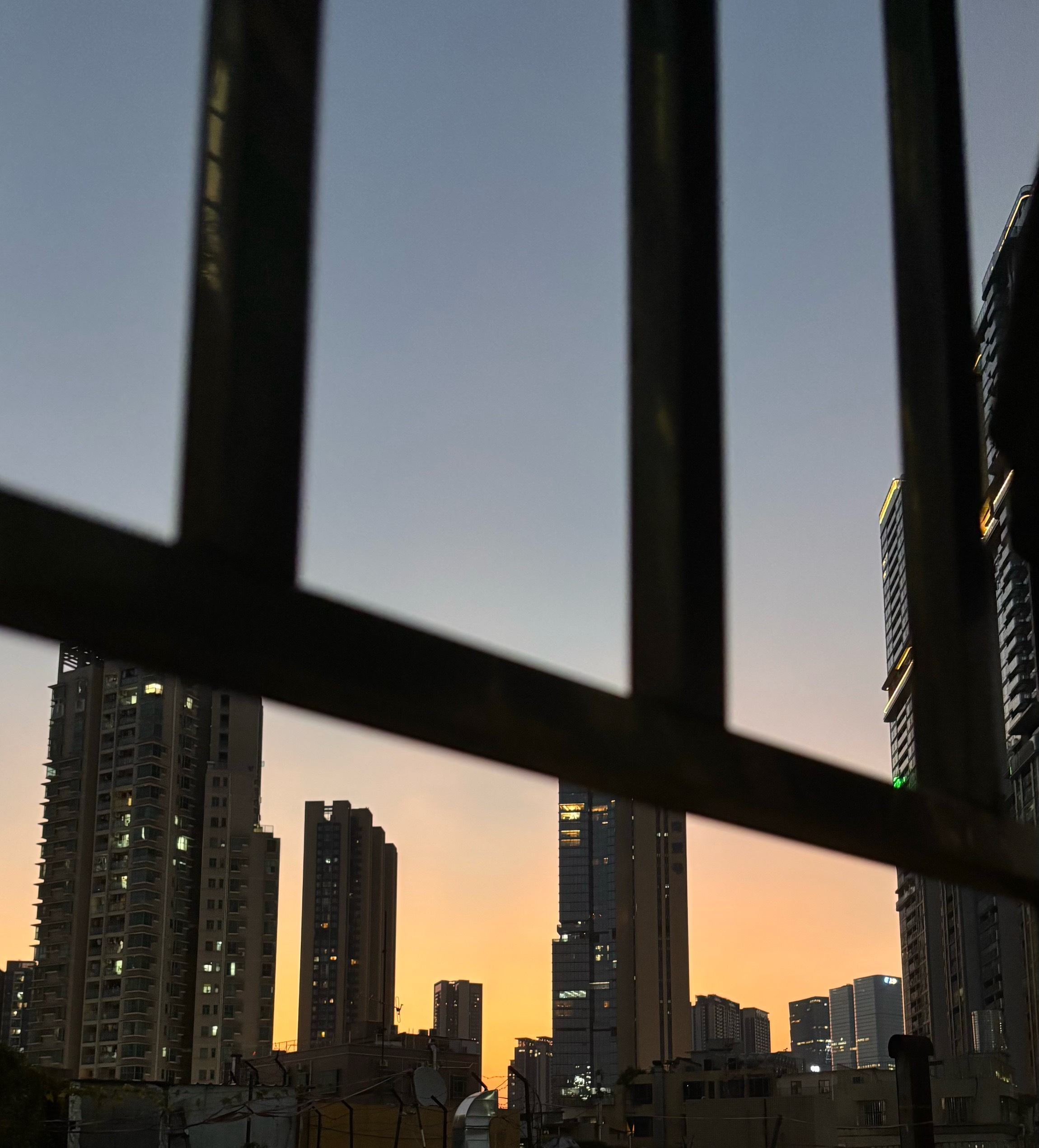 分享图片 