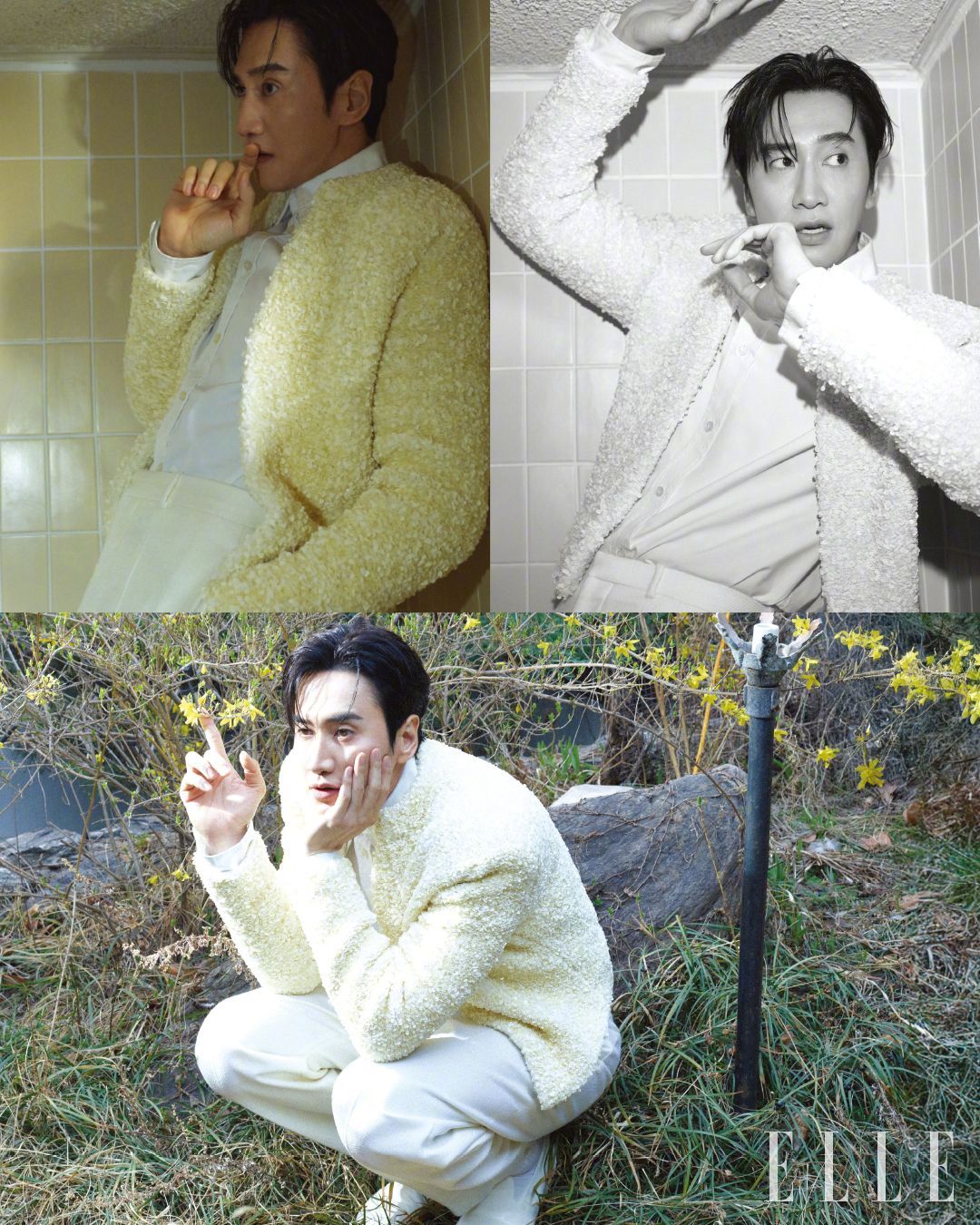 朴宝英金圣喆李铉旭李光洙 ELLE画报 赌金