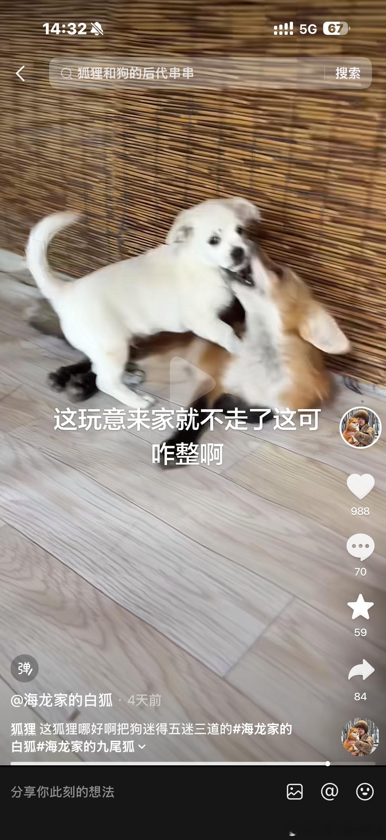 太萌了 