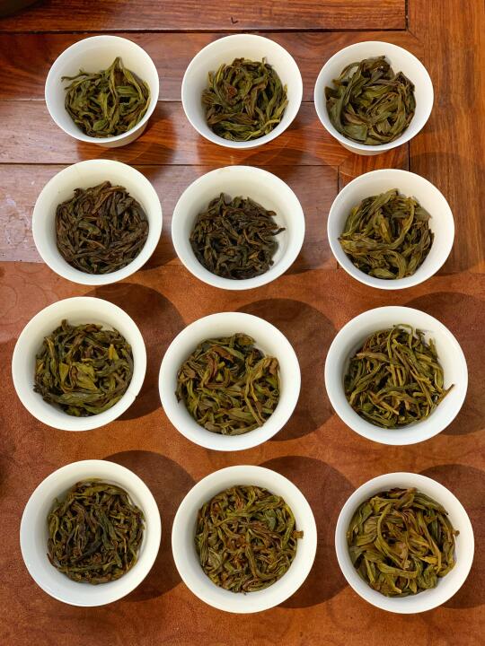 🆘救命！一天的喝茶量，你醉了吗？