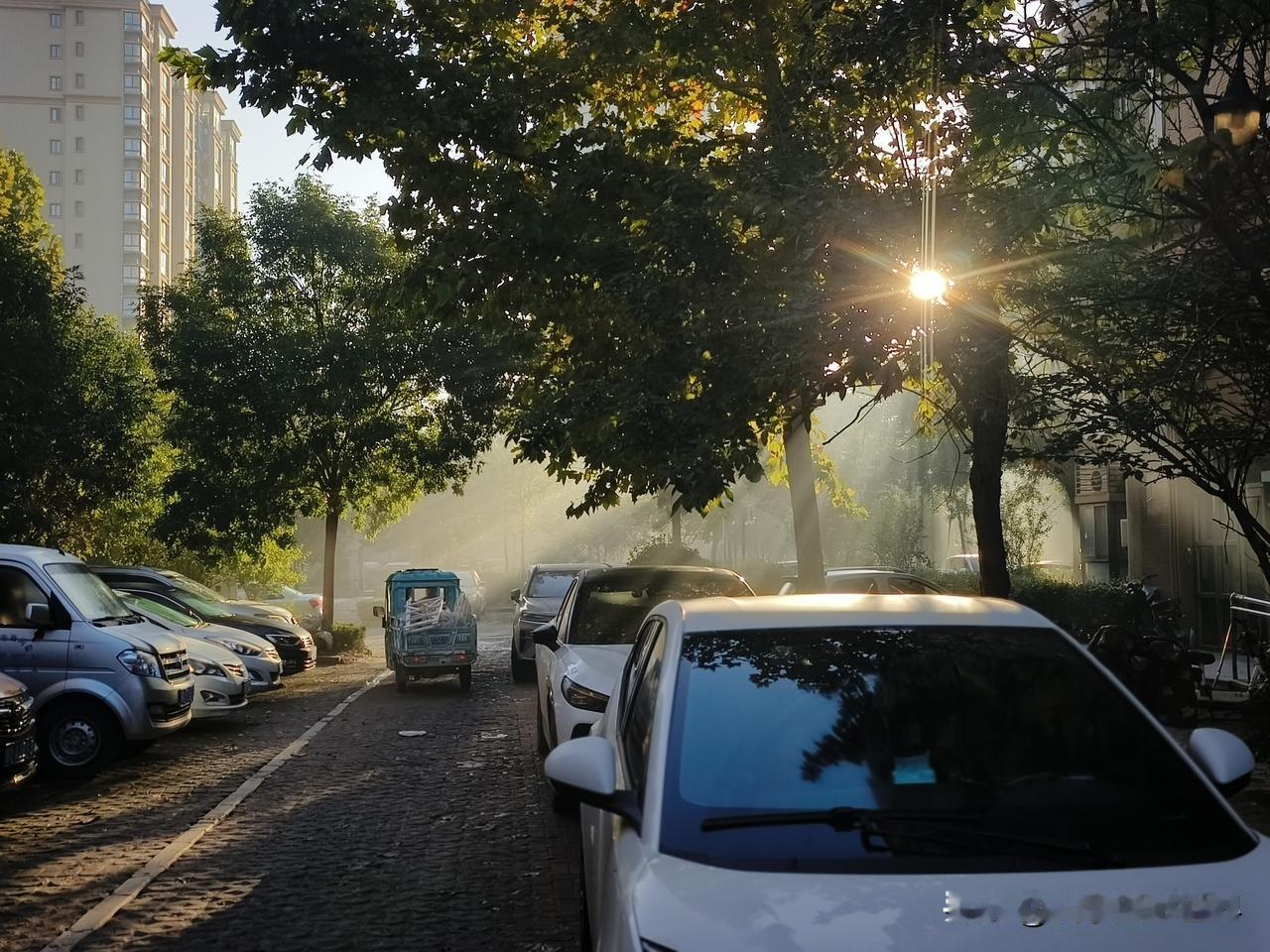 现如今只要法无禁忌+不要脸+敢现眼，很容易出圈，该管管了[比心]