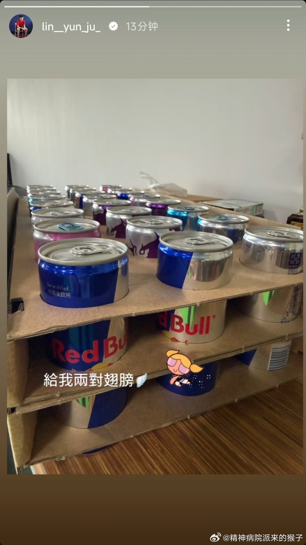 林昀儒：给我两对翅膀 🪽 