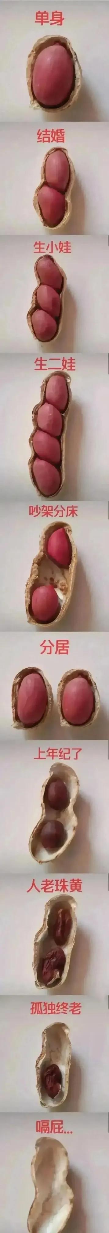 朋友说好久没有见面了，
约着哪天聚聚，
淼哥说现在稍微有点时间，
就想回家躺着，