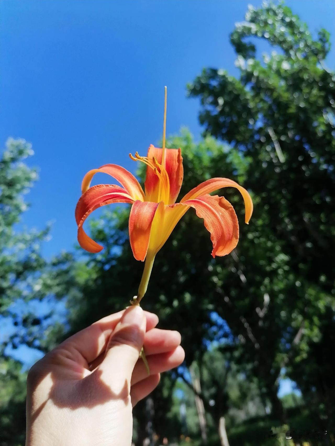 7.6北京，白天多云转阴，有分散性雷阵雨，最高气温33℃。
夜间阴有分散性雷阵雨