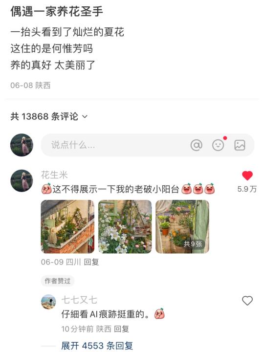 怪我过分美丽🤷‍♀️