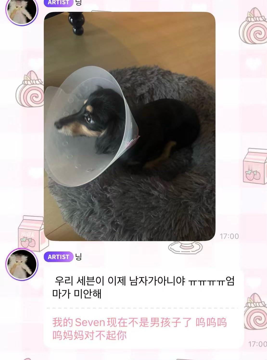 小七在求救🆘🆘🆘🆘 ​​​