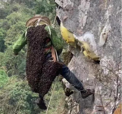 想吃点蜂蜜，真的是不容易啊。