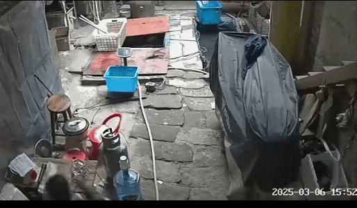 小哥哥：看来这狗是养不熟了。