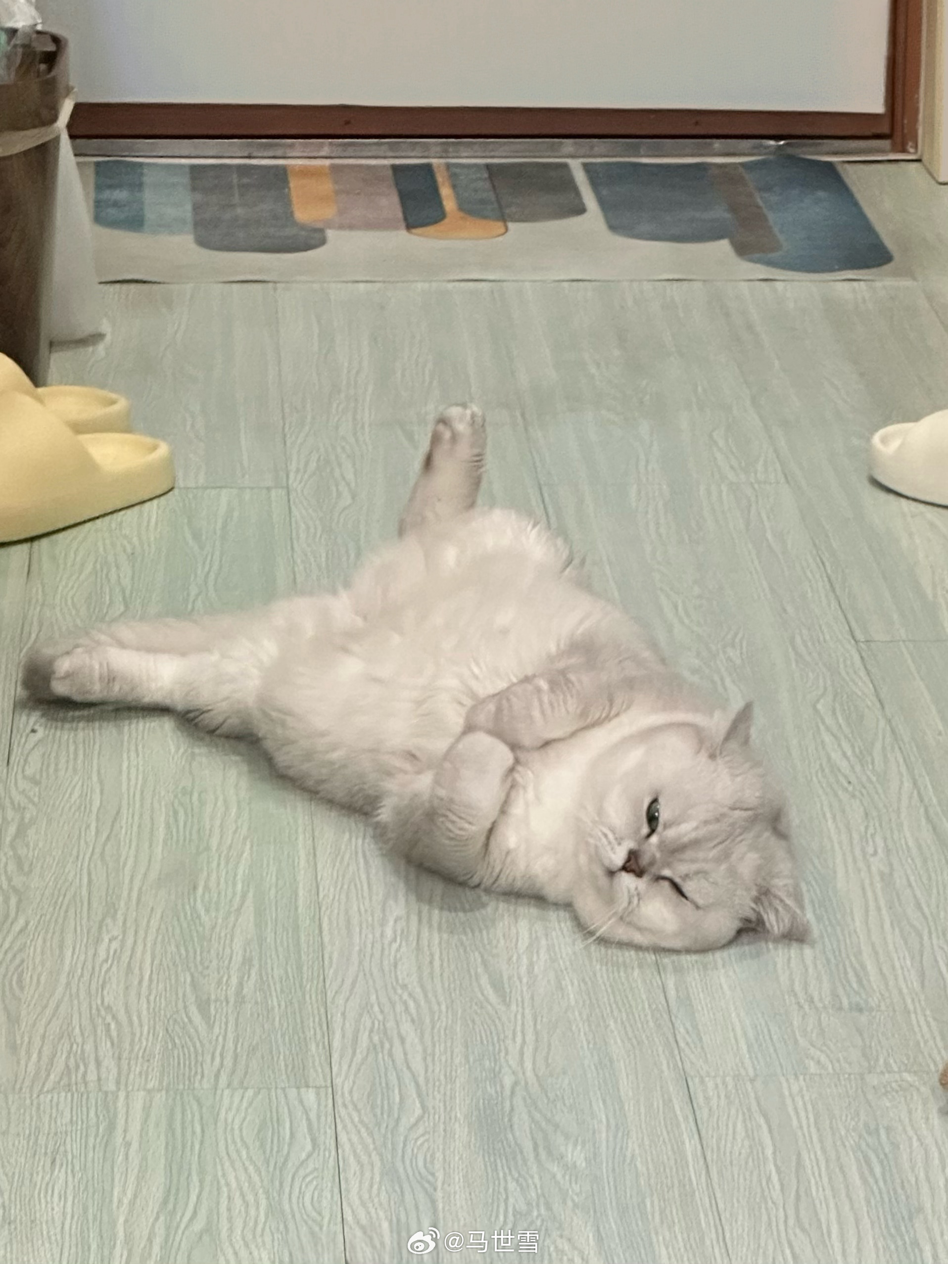 哥，要不咱找个班儿上呢