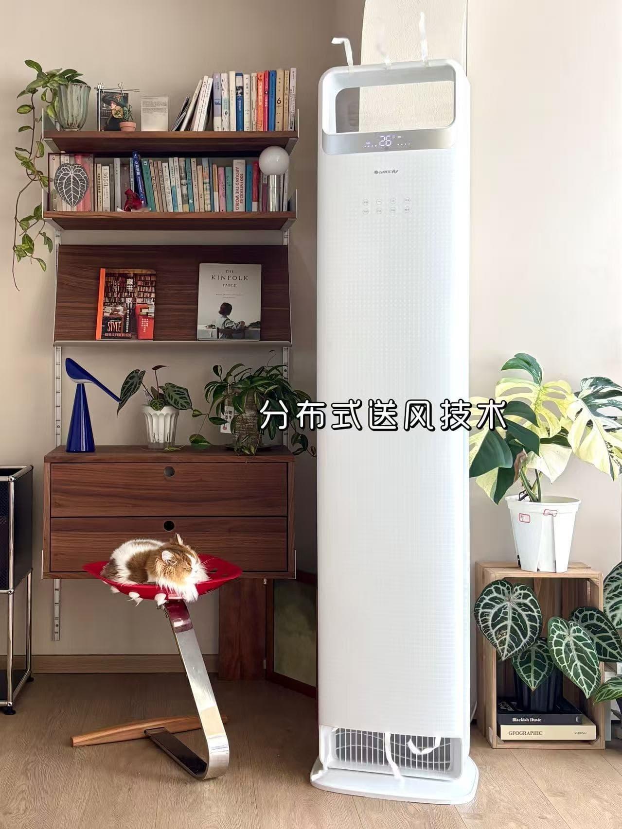 豪哥哥今年夏天爆热的视频 拉着爸妈一起刷豪哥哥的印度烫头视频，二老笑到直拍大腿，