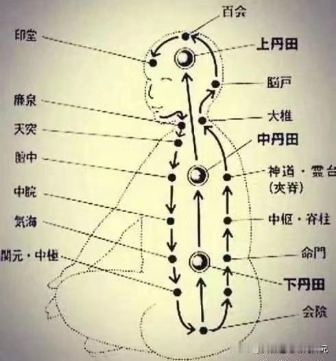 在传统养生实践领域，许多人尝试练气却收效甚微，其关键在于未能掌握核心要诀。事实上