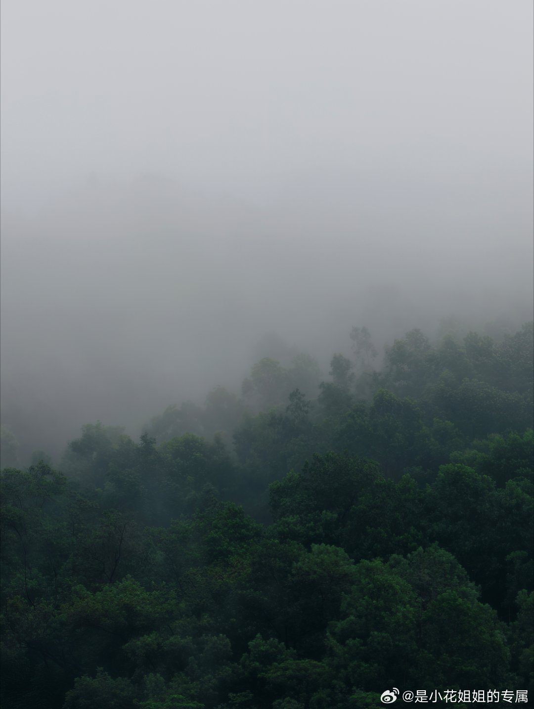 今天一早出门，就是遇到下雨天。仅仅只是在吃中饭的11:30到12点之间那段时间，