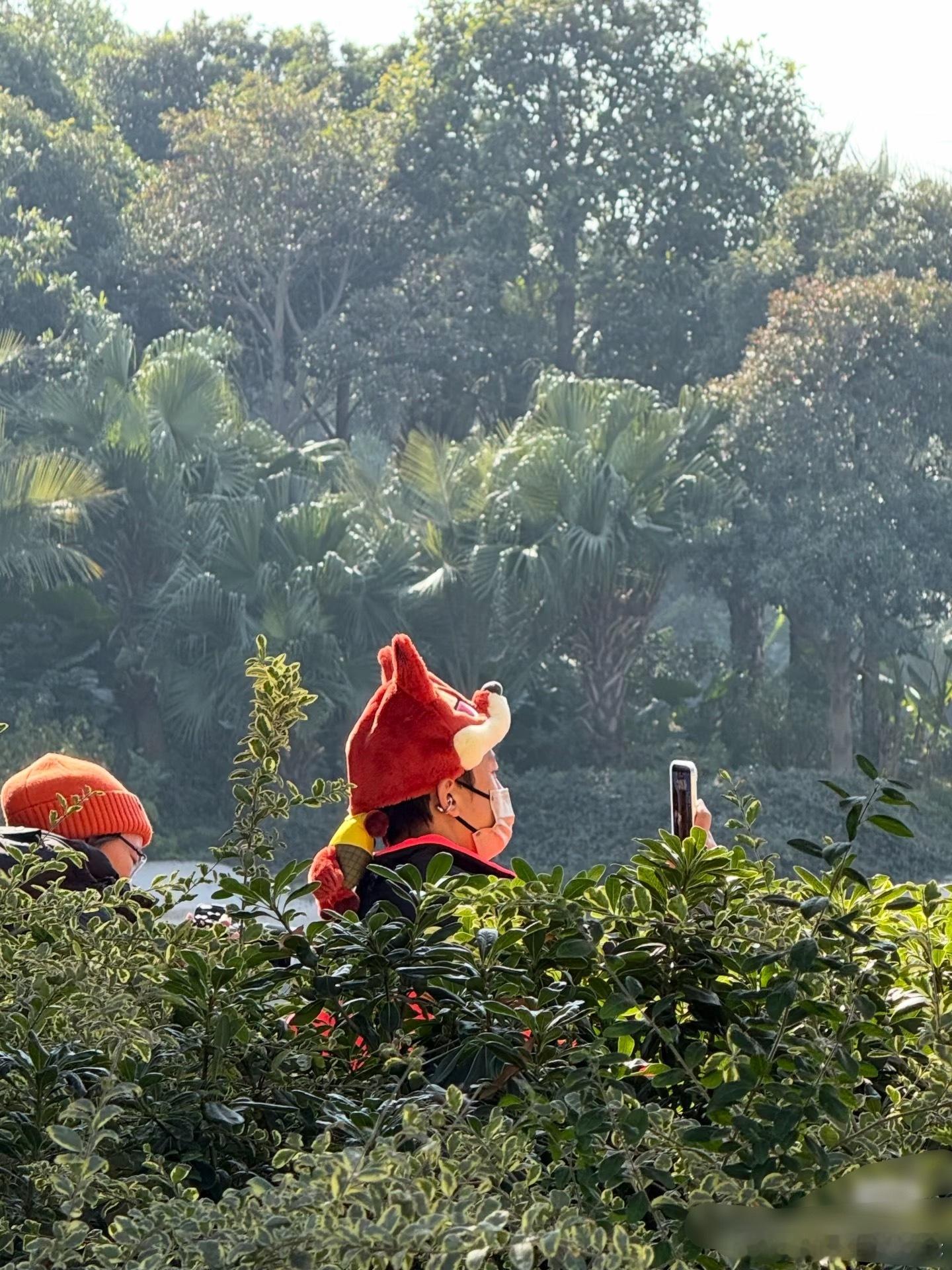有网友上海迪士尼偶遇邓超带小花游玩诶，，俩人还戴了尼克朱迪的帽子邓超带小花游玩迪
