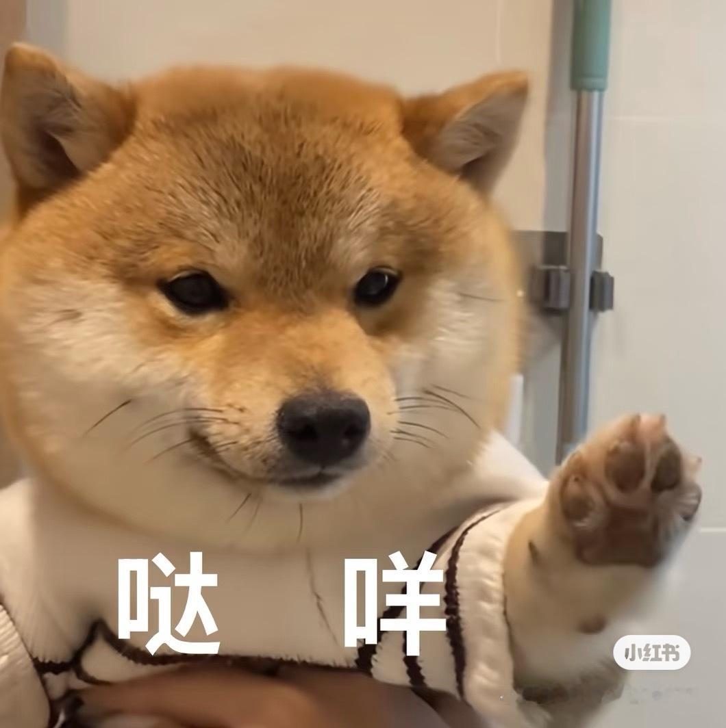 彩衣娱亲快娱不下去了，体力跟不上了………… 