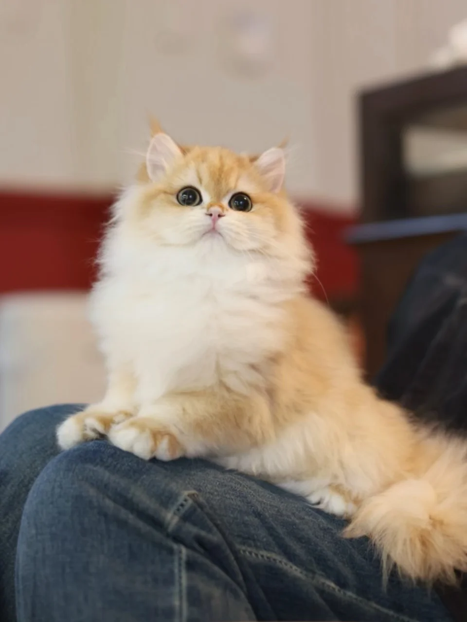 这是我第一次…