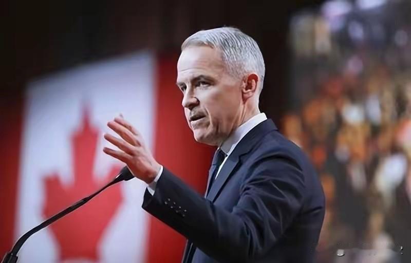 加拿大在中等强国中的地位具有“传统中等强国”的典型特征，但近年来也面临“地位焦虑