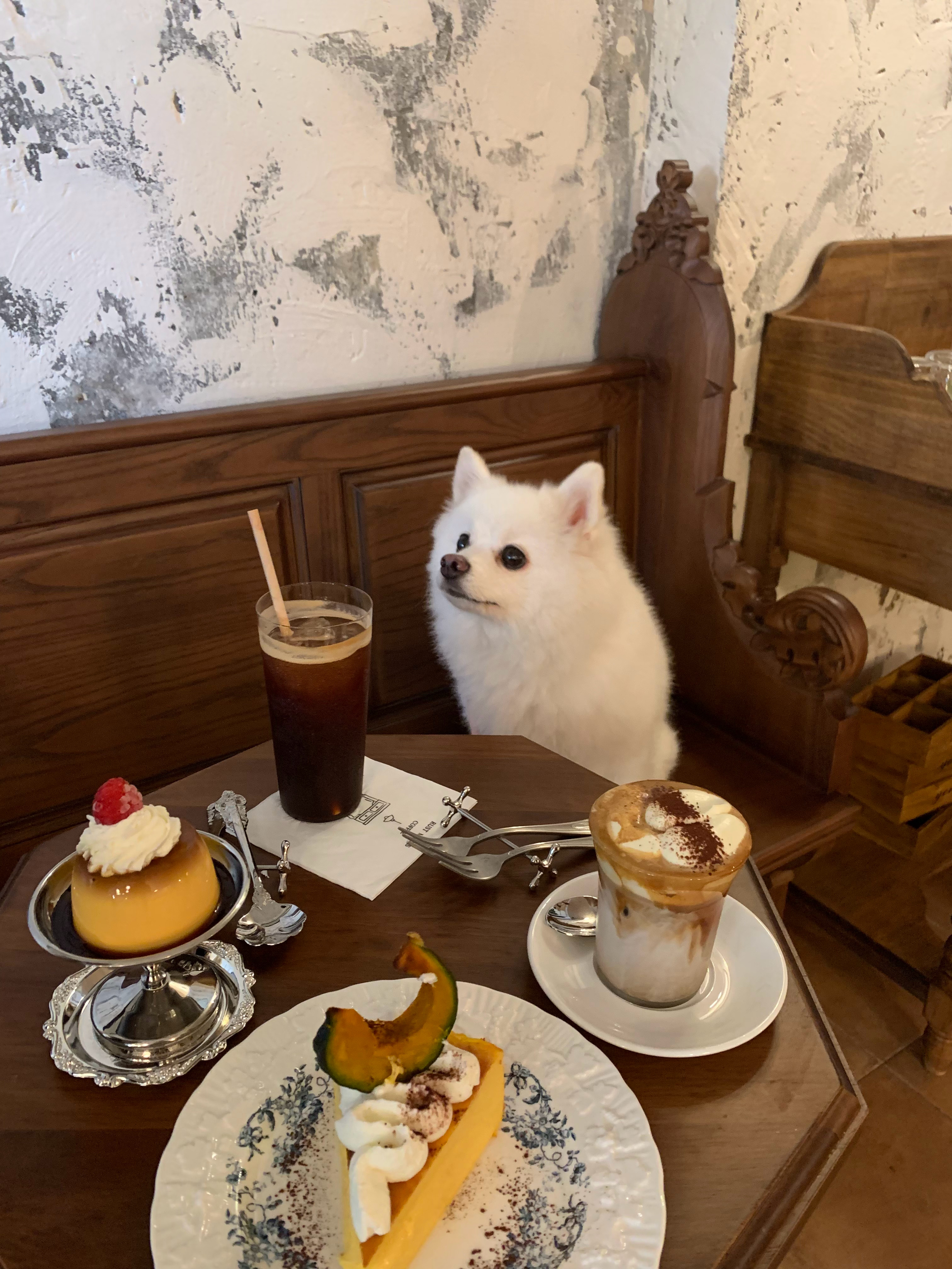 入秋～☕️​​​