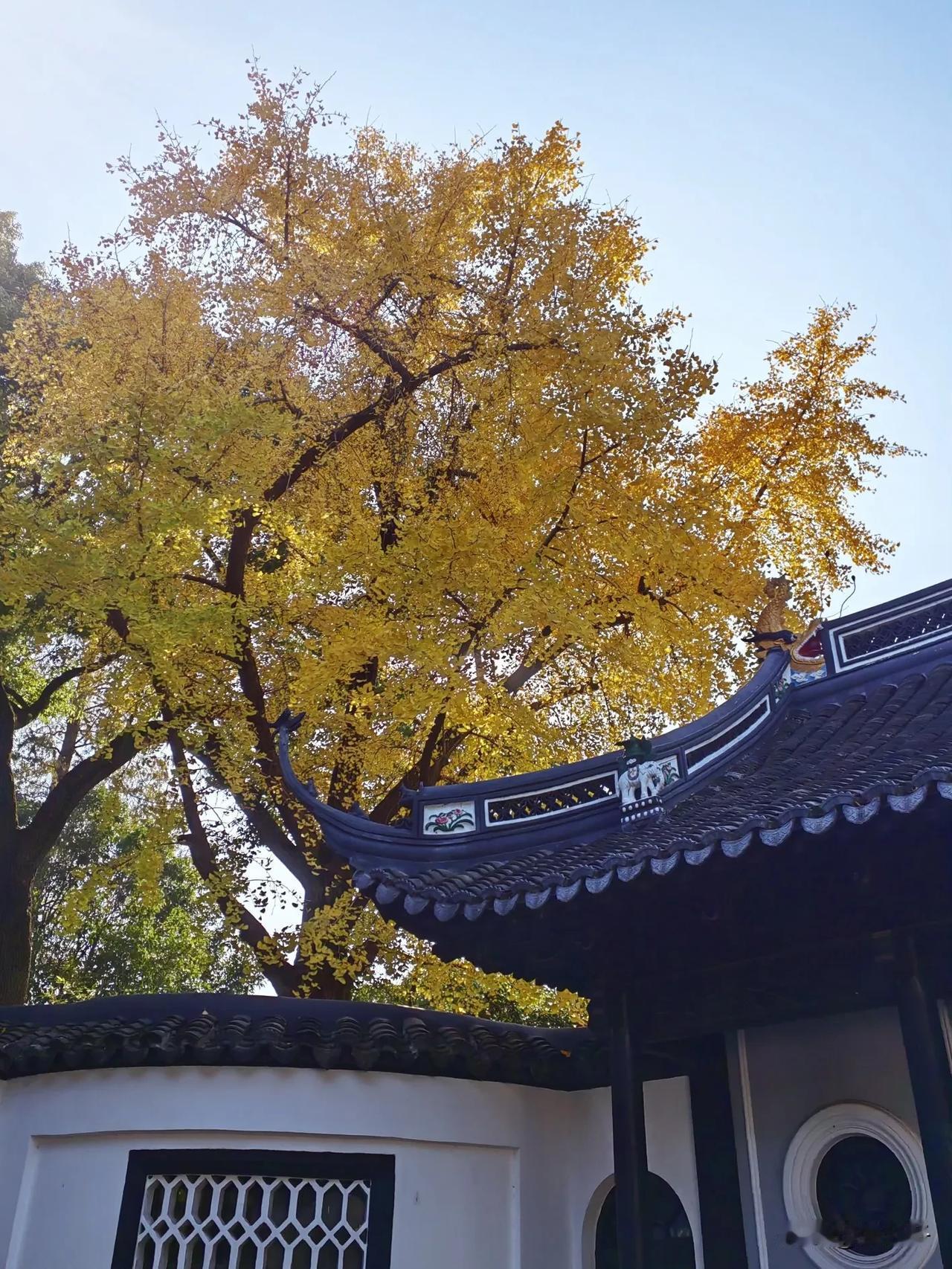 桂林公园，曾经黄金荣的私人别墅