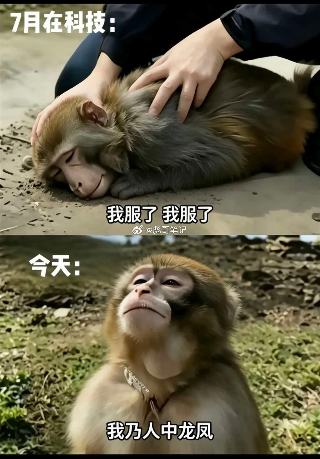 七月的你vs八月的你！是这样吗？ 
