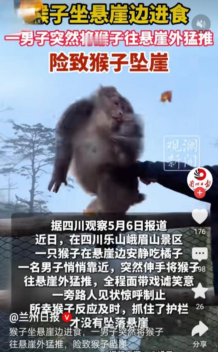 峨眉山惊现恶劣一幕，男子竟将猴子推向悬崖，简直刷新人类底线！

在峨眉山景区，一