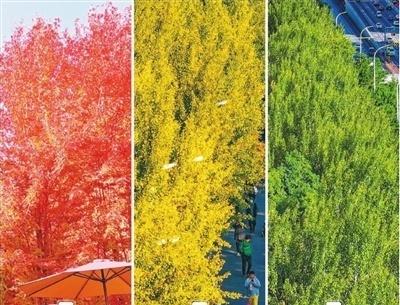 辽宁沈阳：一幅三色丹青图