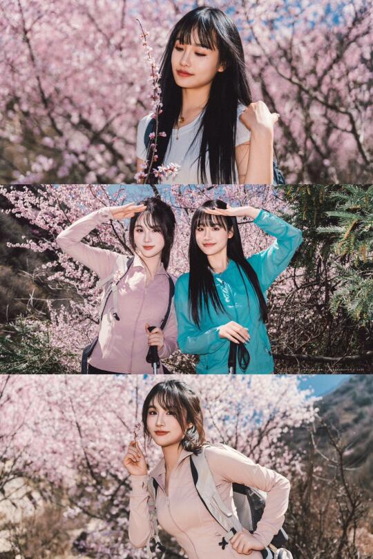 三凤山的春日限定🌸