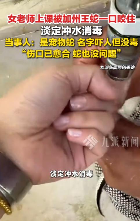 太淡定了！湖北某摄影课堂，老师带自己养了八年的加州黑白王蛇给学生当“模特”，专门