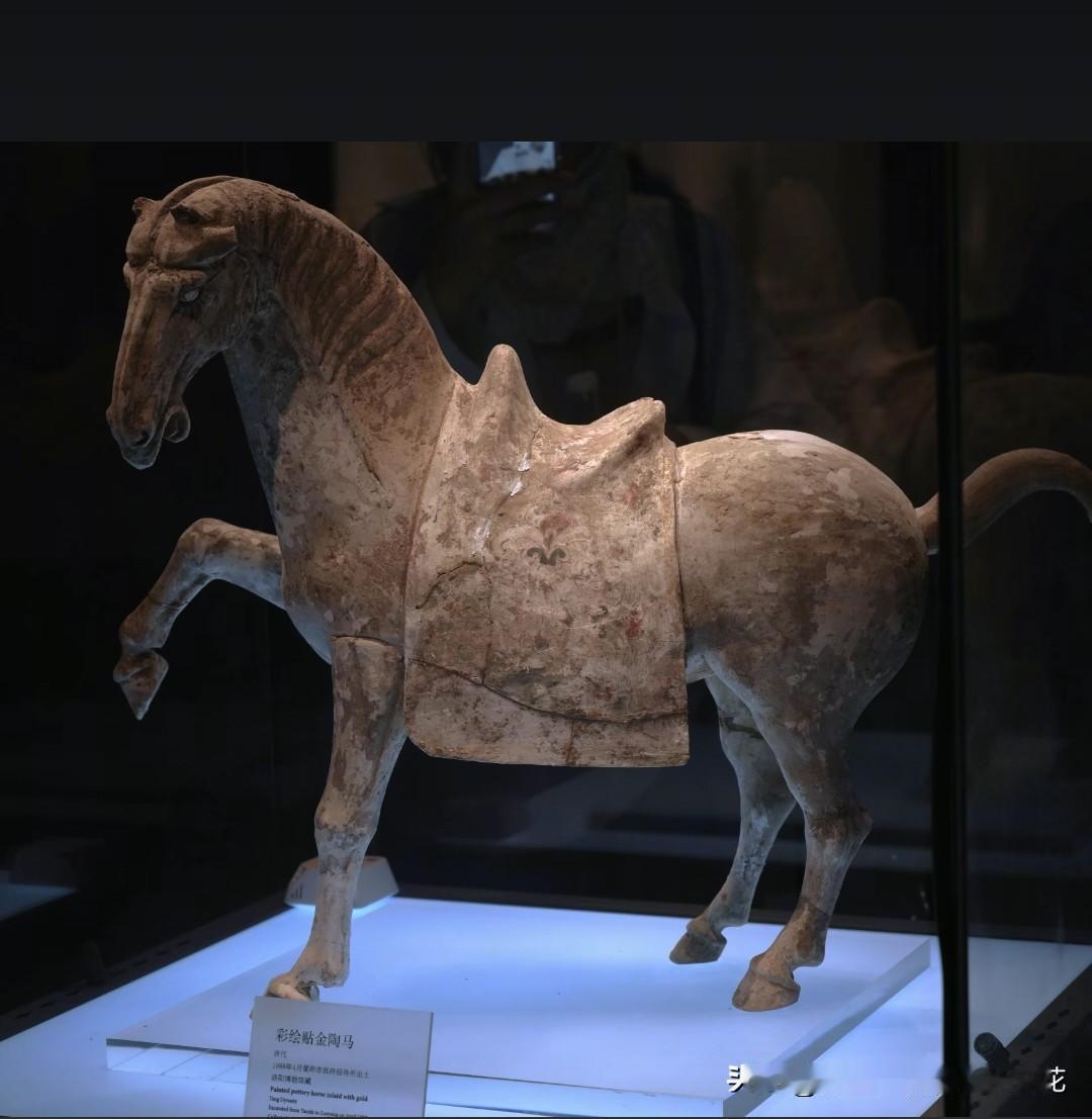 这是1988年偃师市出土的唐代陶马，有网友称自己在洛阳博物馆看到了陶马倒下断裂的