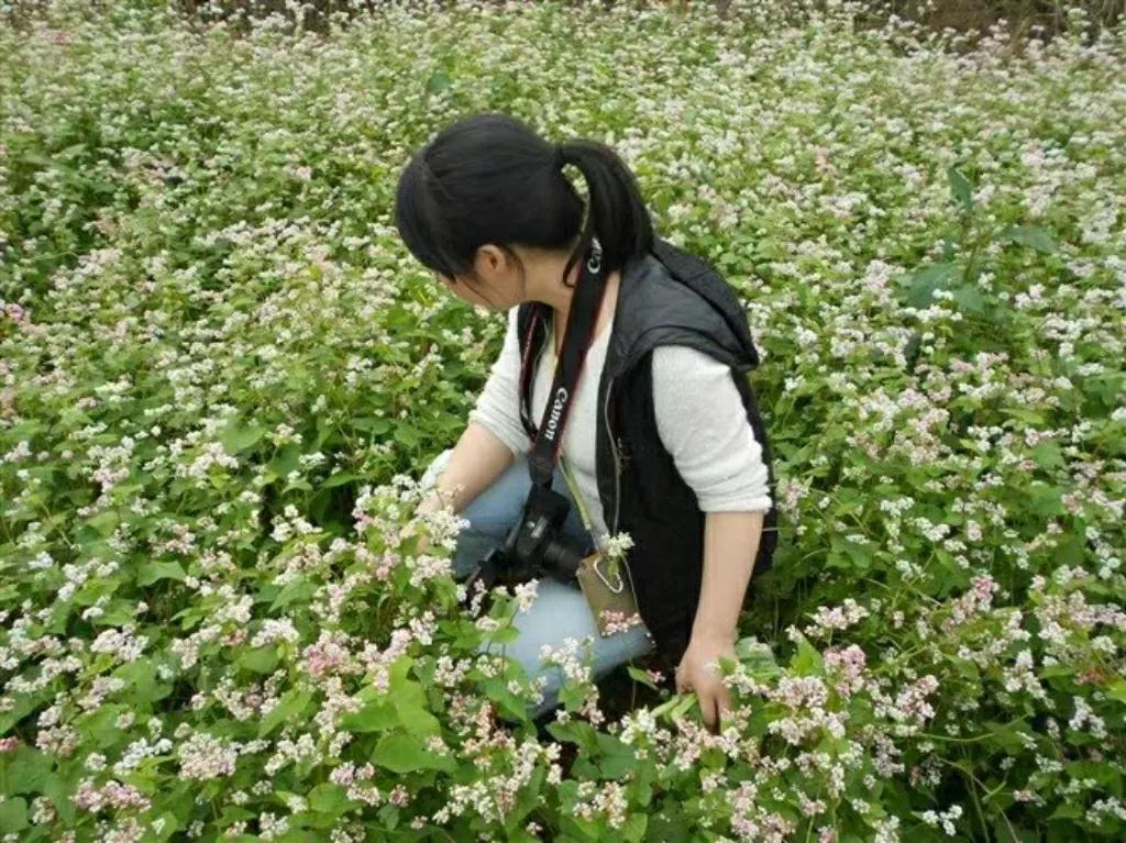 我该如何写我呢？写我缺乏志向，年纪轻轻便在山里做个“无用”之人，写我不知上进，终