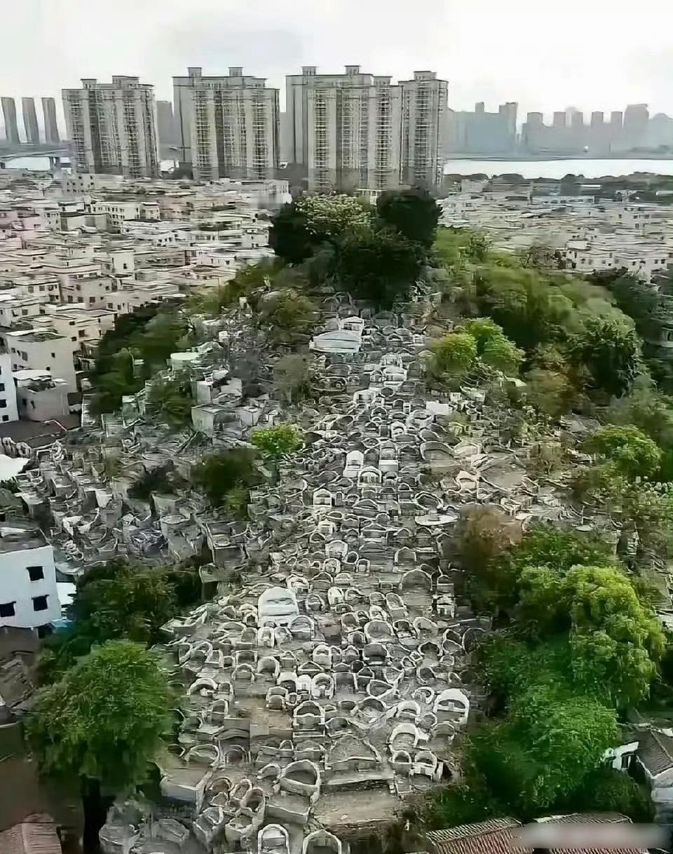 这就是为什么要推行火葬的原因… ​​​