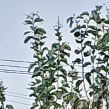 不必渴求所有人都理解自己的选择，守住内心的晴朗，学会好好爱自己。往后余下的时光，