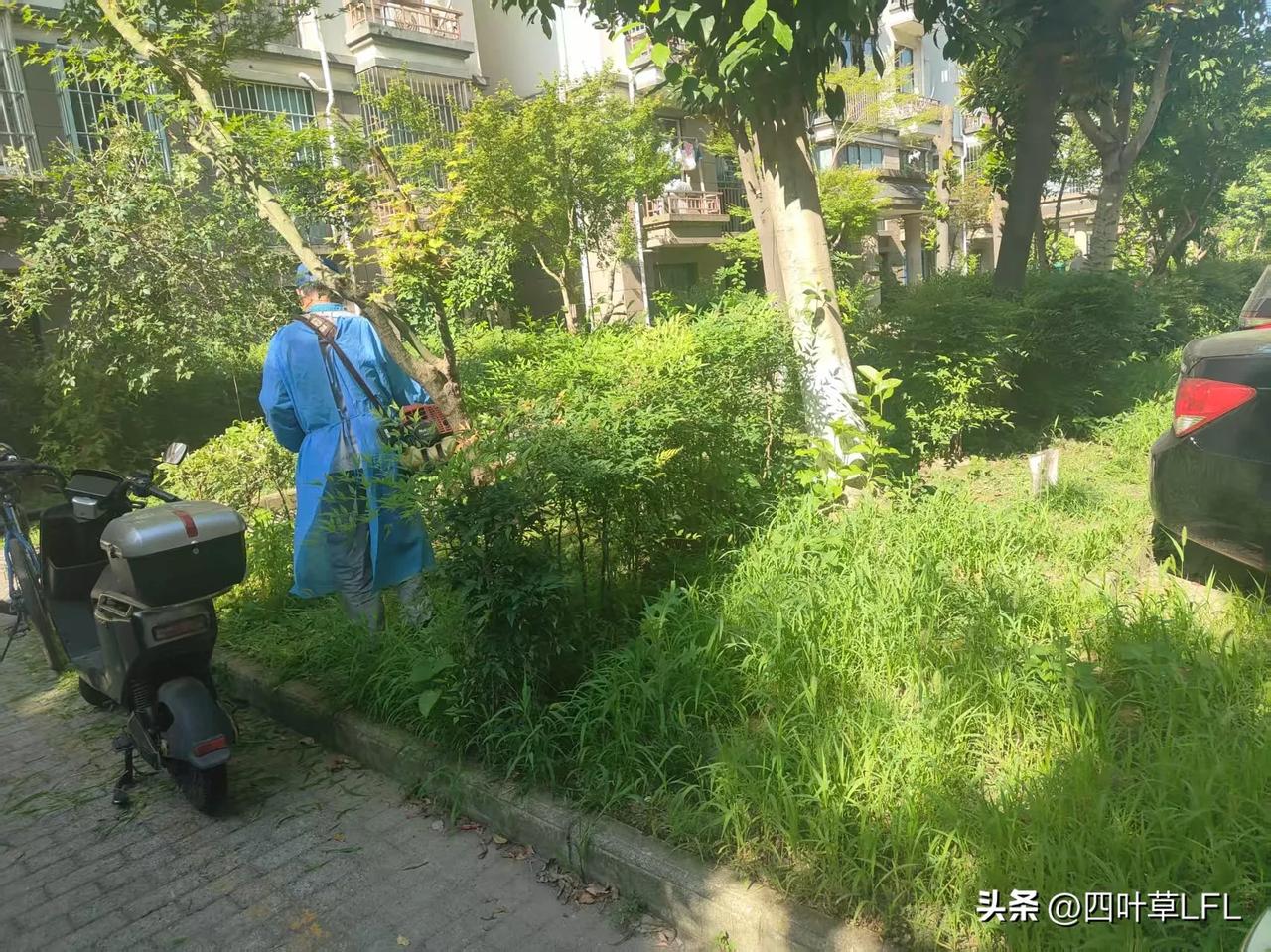 快四十度的高温，太阳火辣辣的炙烤着大地，家家户户都关着门开着空调，外边除草机的声
