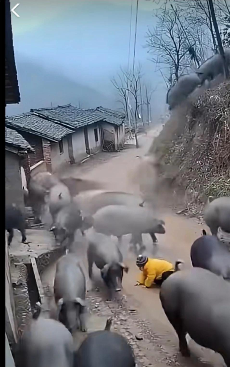 人不犯我，我不犯人，人若犯我，我必犯人，以战止战，才是最好的策略